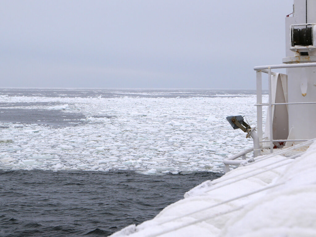 Drift Ice Cruise