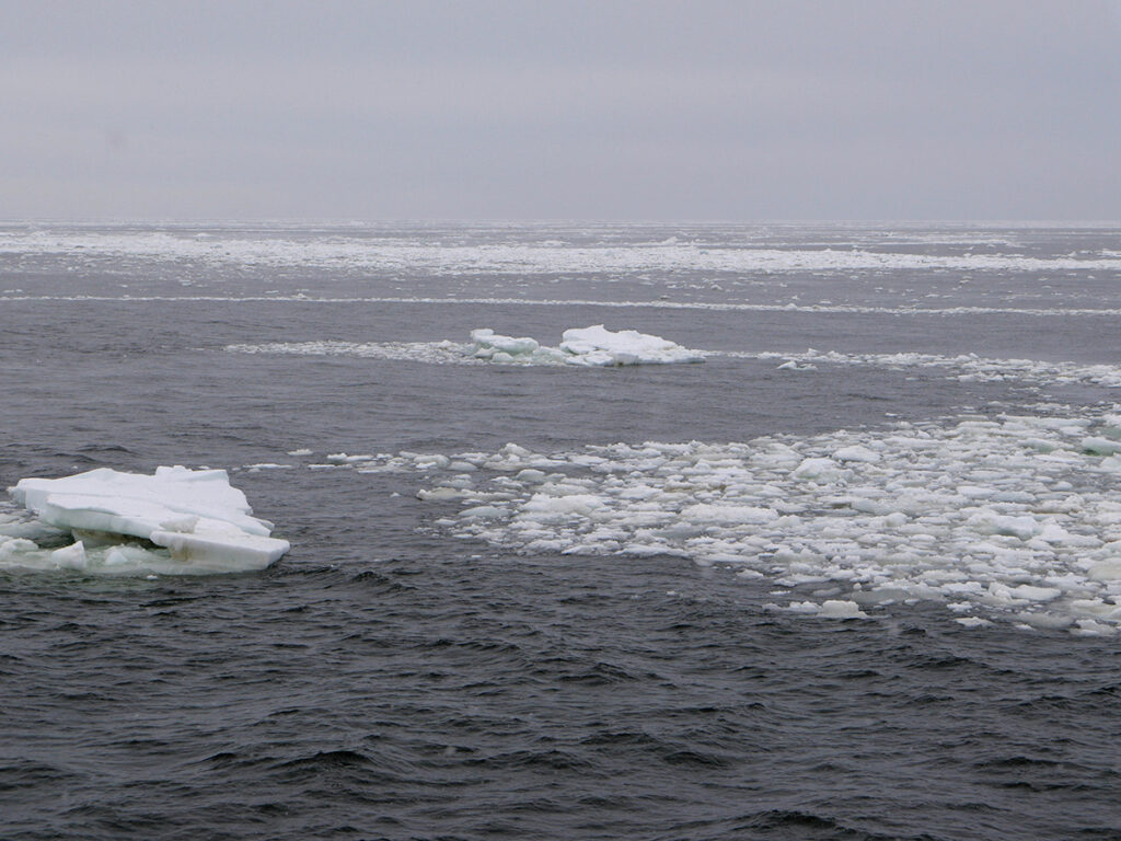 Drift Ice Cruise