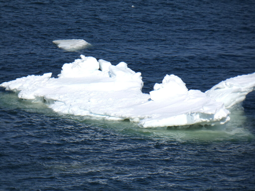 Drift Ice Cruise