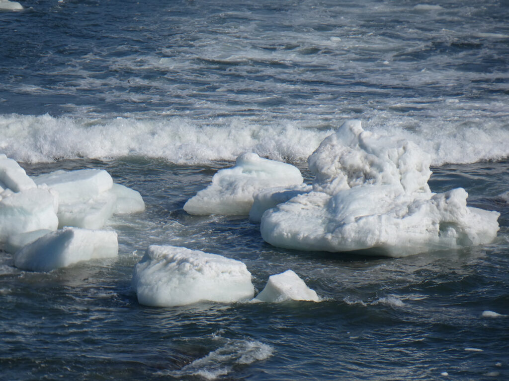 drift ice.