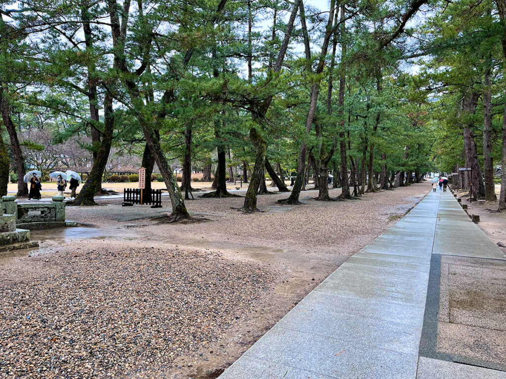 izumo taisha