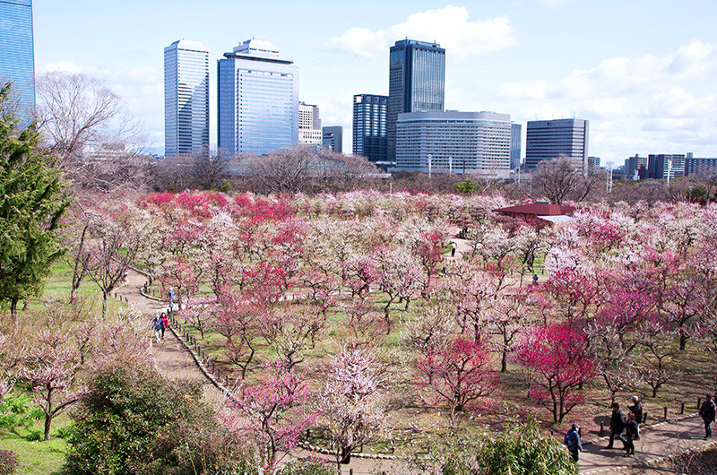 Osaka Castle