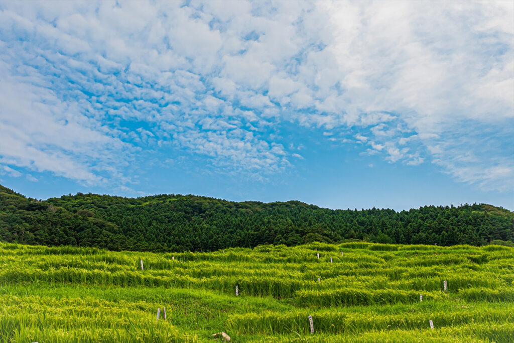 Shiroyone Senmaida Rice Terraces