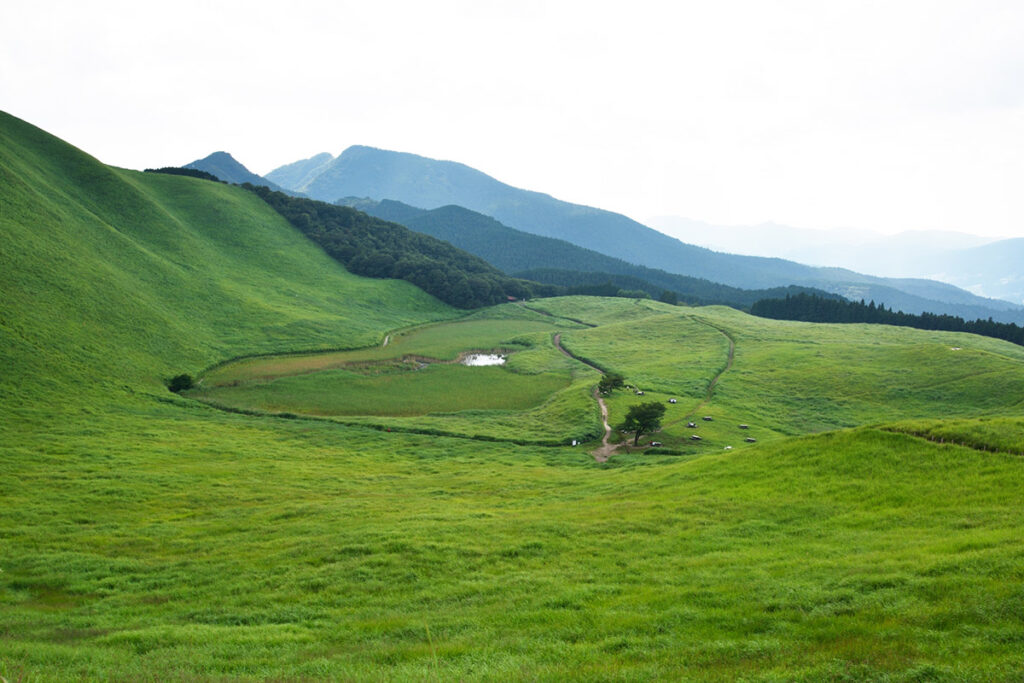 Soni Kogen summer