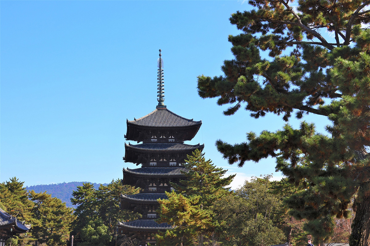 Other World Heritage sites in Nara Park include Todaiji Temple, Kasuga Taisha Shrine, and Kofukuji Temple.