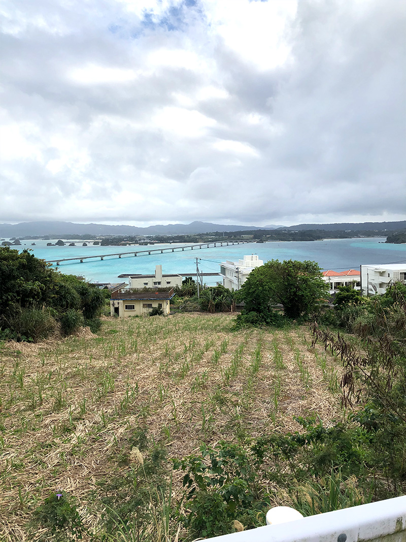 Kouri Island has tourist facilities and restaurants in the lower part of the island, while the middle part has many private houses and fields.