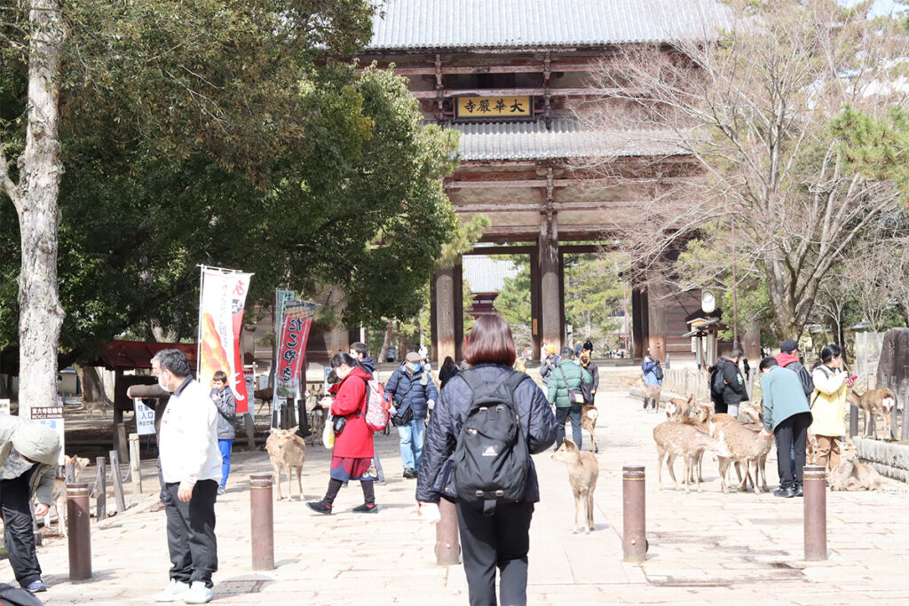 Nara Park is a vast historical park covering 660 hectares, and its most popular attraction is the friendly deer.