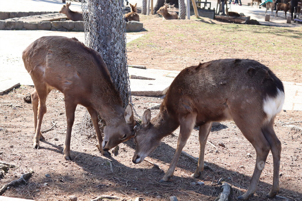 narapark