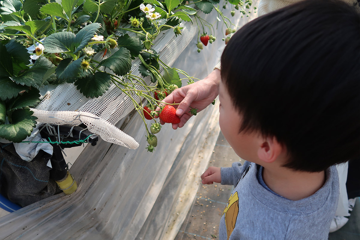 Himeji Heartful Kanko Farm