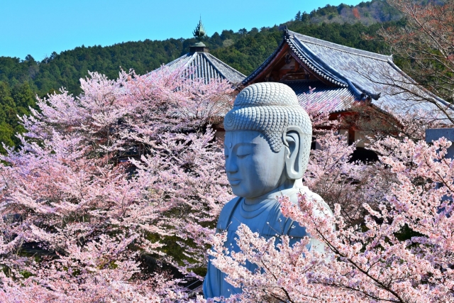 Tsubosaka Temple