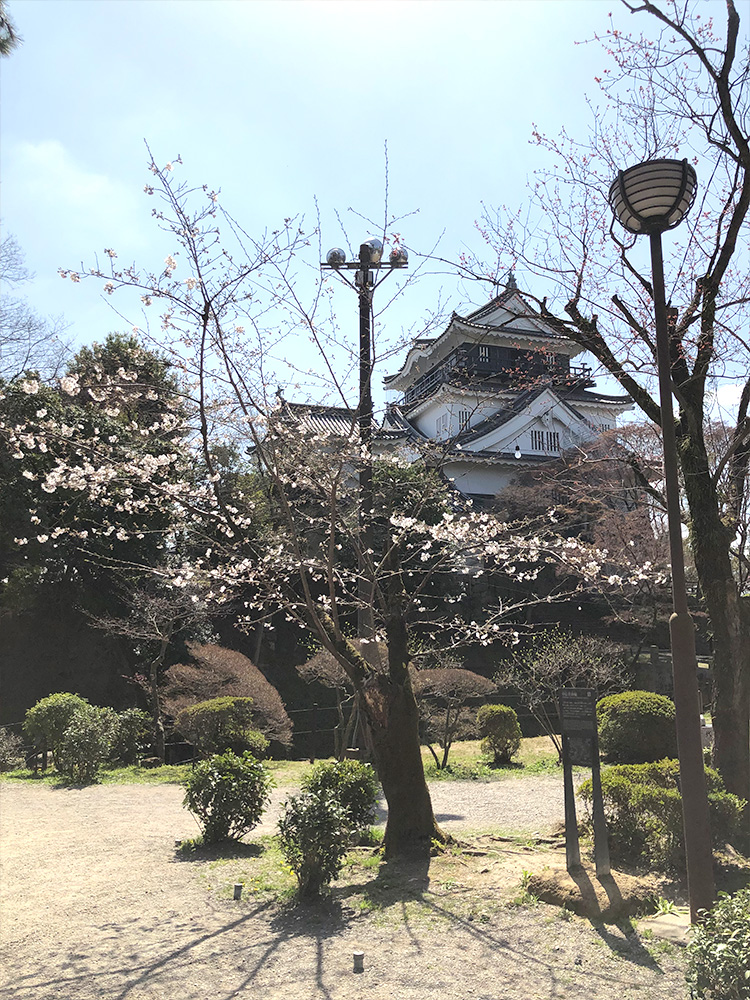 Okazaki Castle.