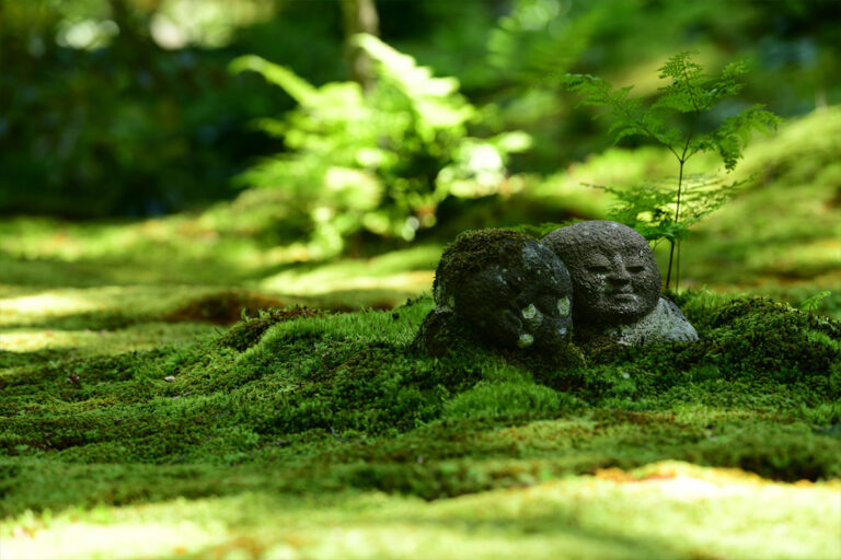 What is Tsuyu(梅雨)? - It is about rainy seasons in Japan.