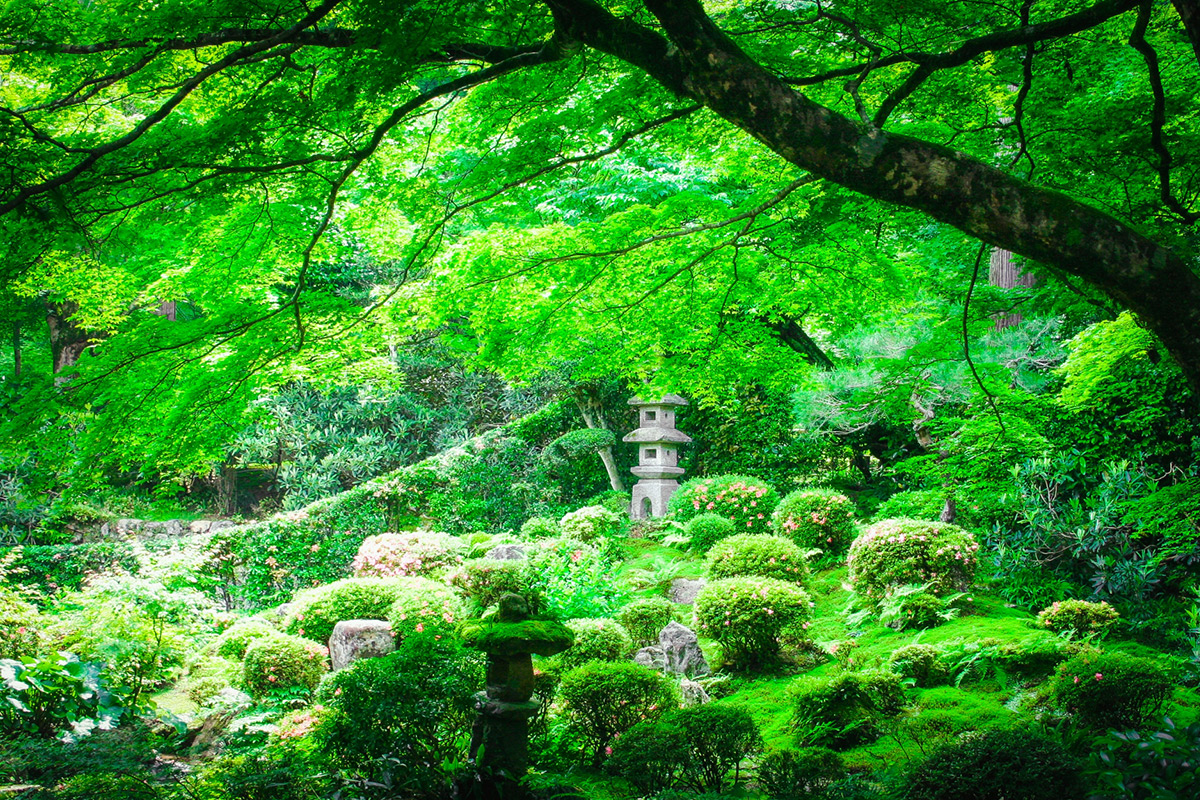 Sanzen-in Temple