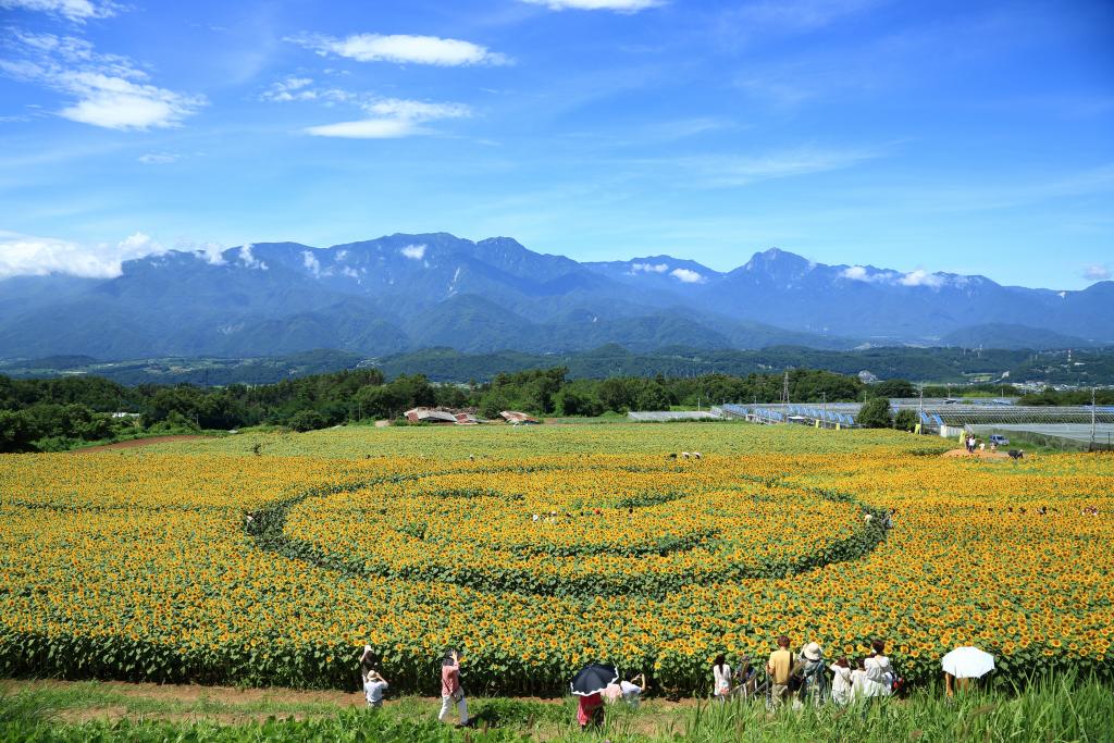 Hokuto City Akeno Sunflower Festival