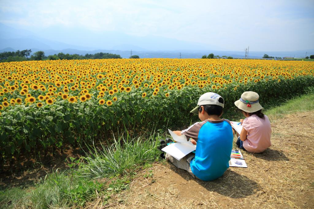 Hokuto City Akeno Sunflower Festival