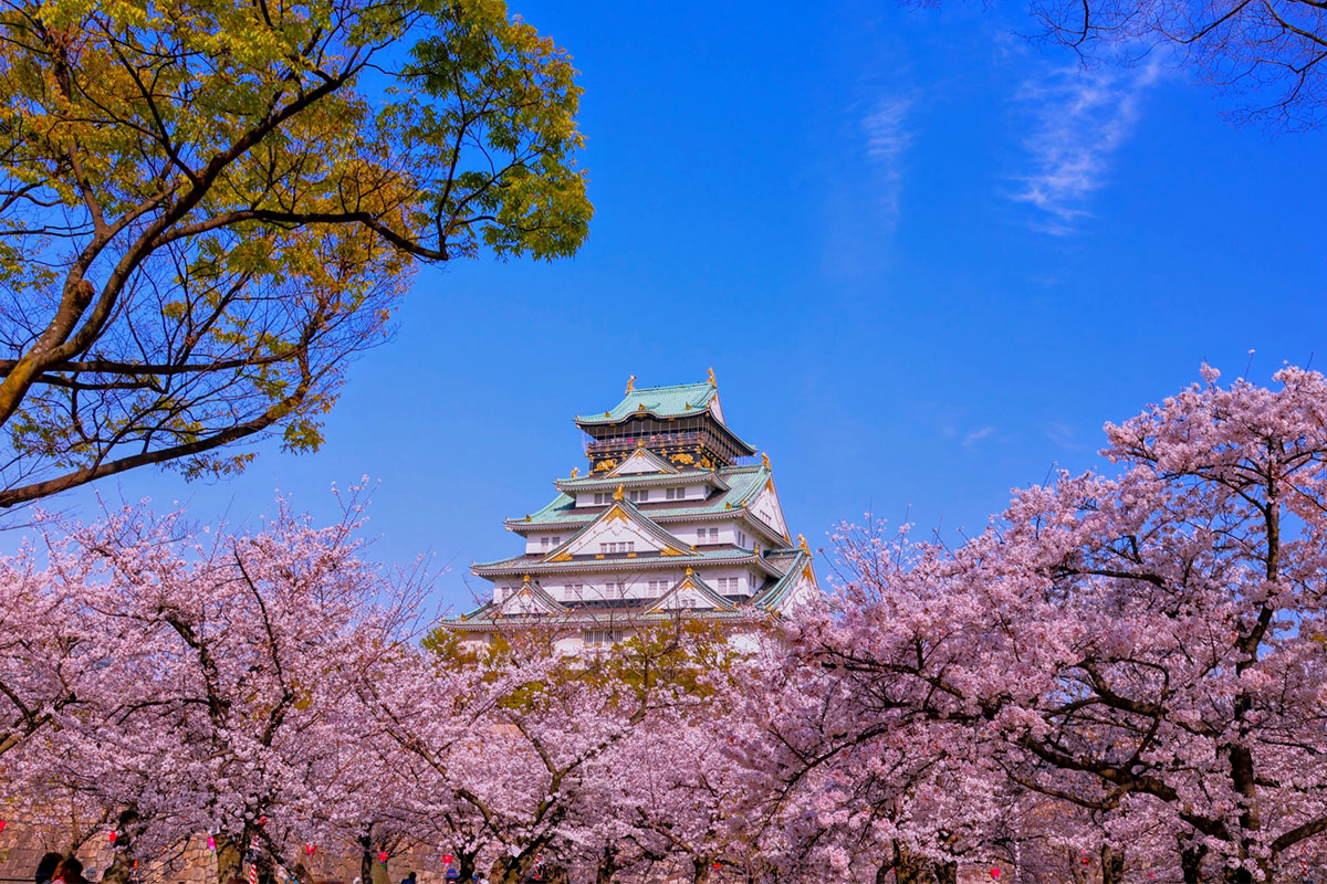 History of SAKURA and Japan