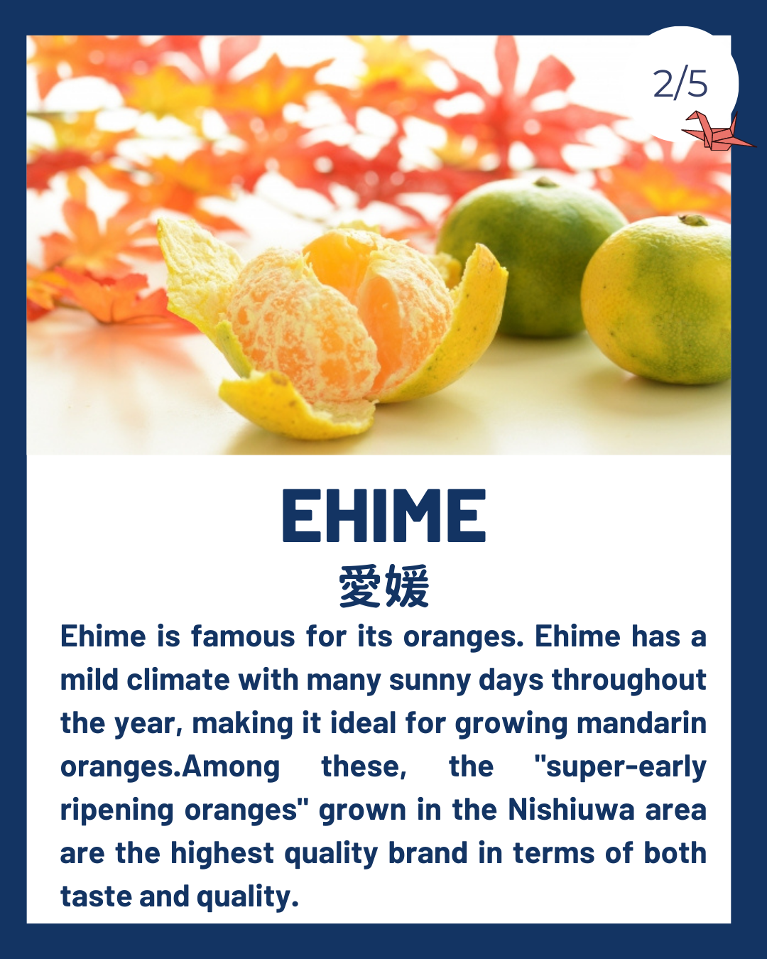 Ehime(愛媛)