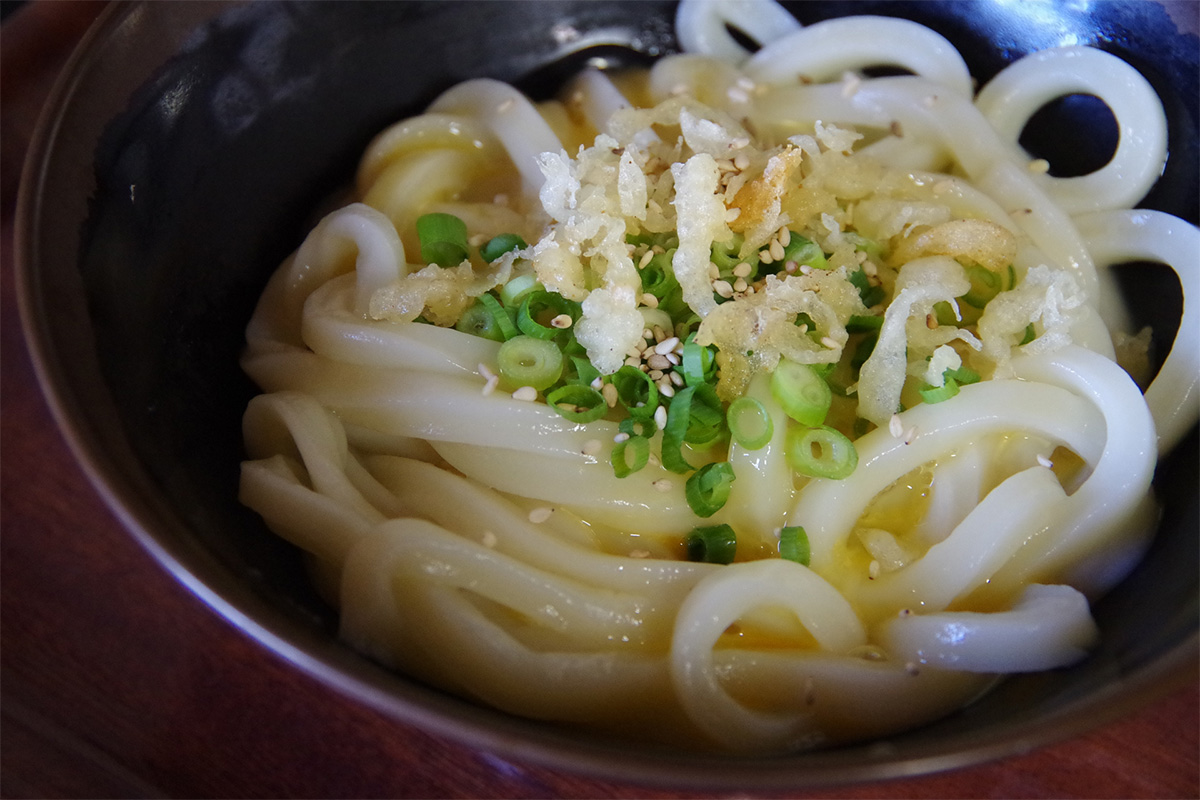 udon