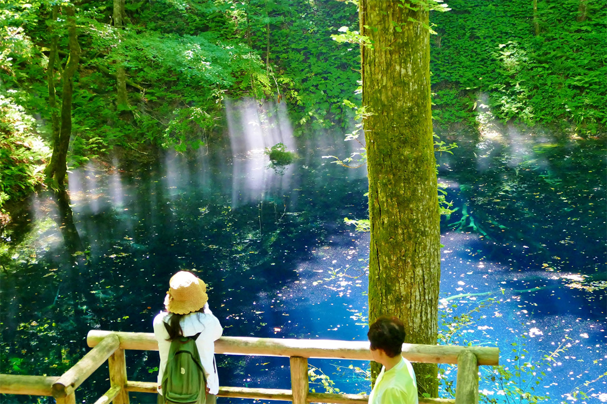Mysterious blue pond! Shirakami Sanchi