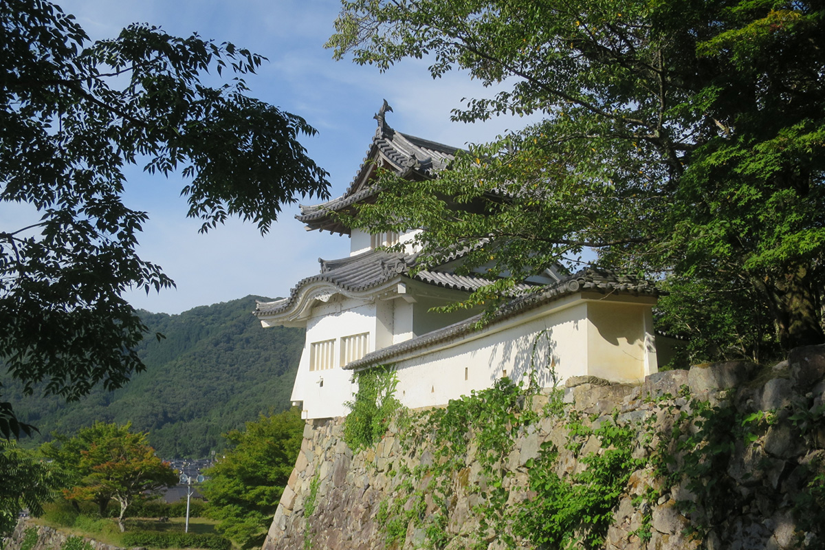 Ruins of Izushi Castle