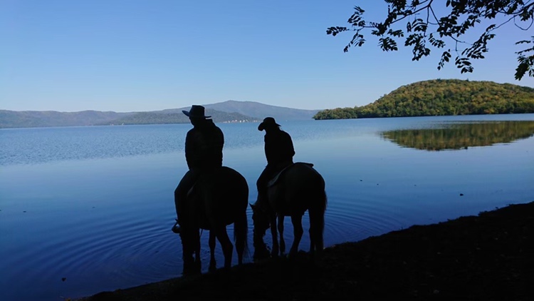 hokkaido-horse