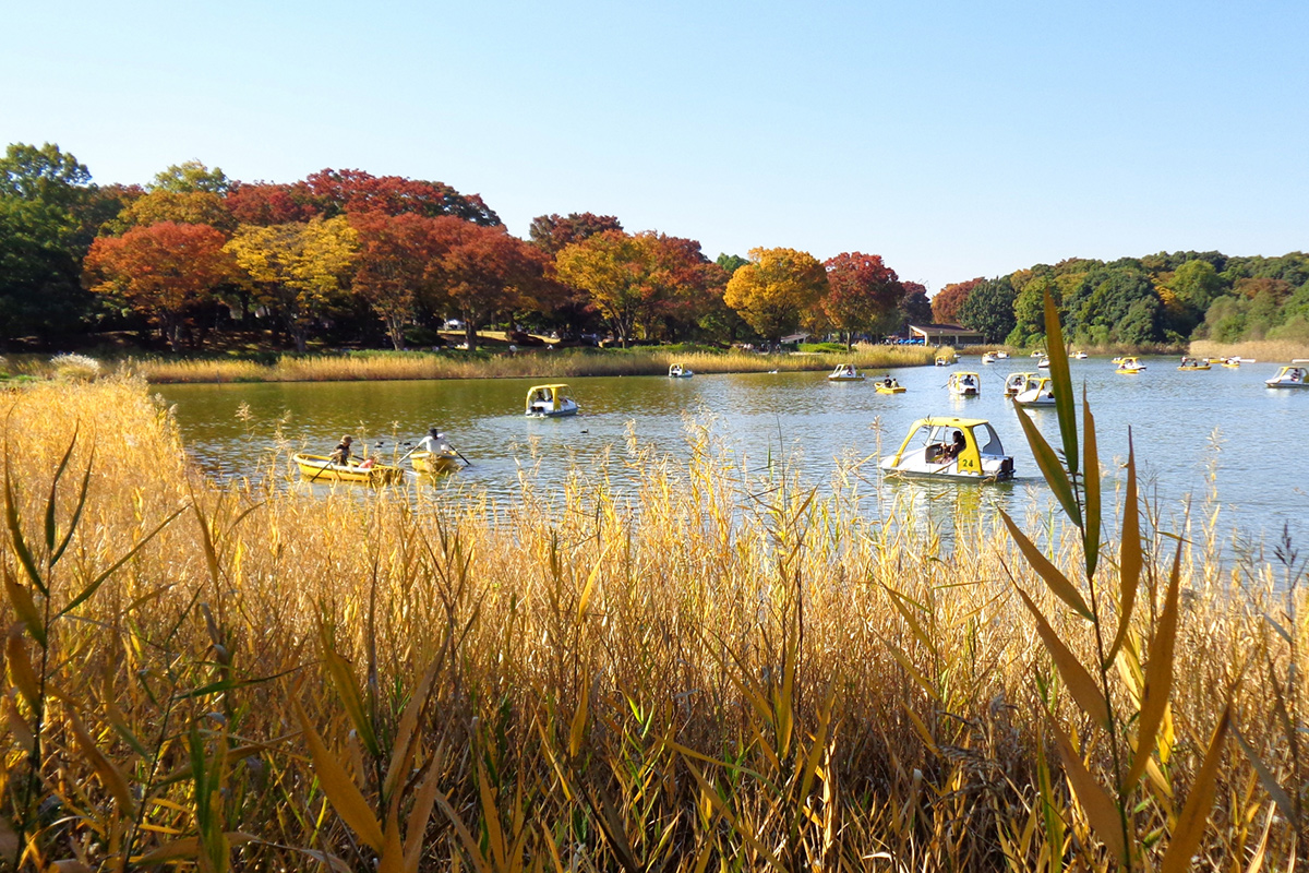 If you want to take your time and enjoy the scenery in the park, there are boats available!