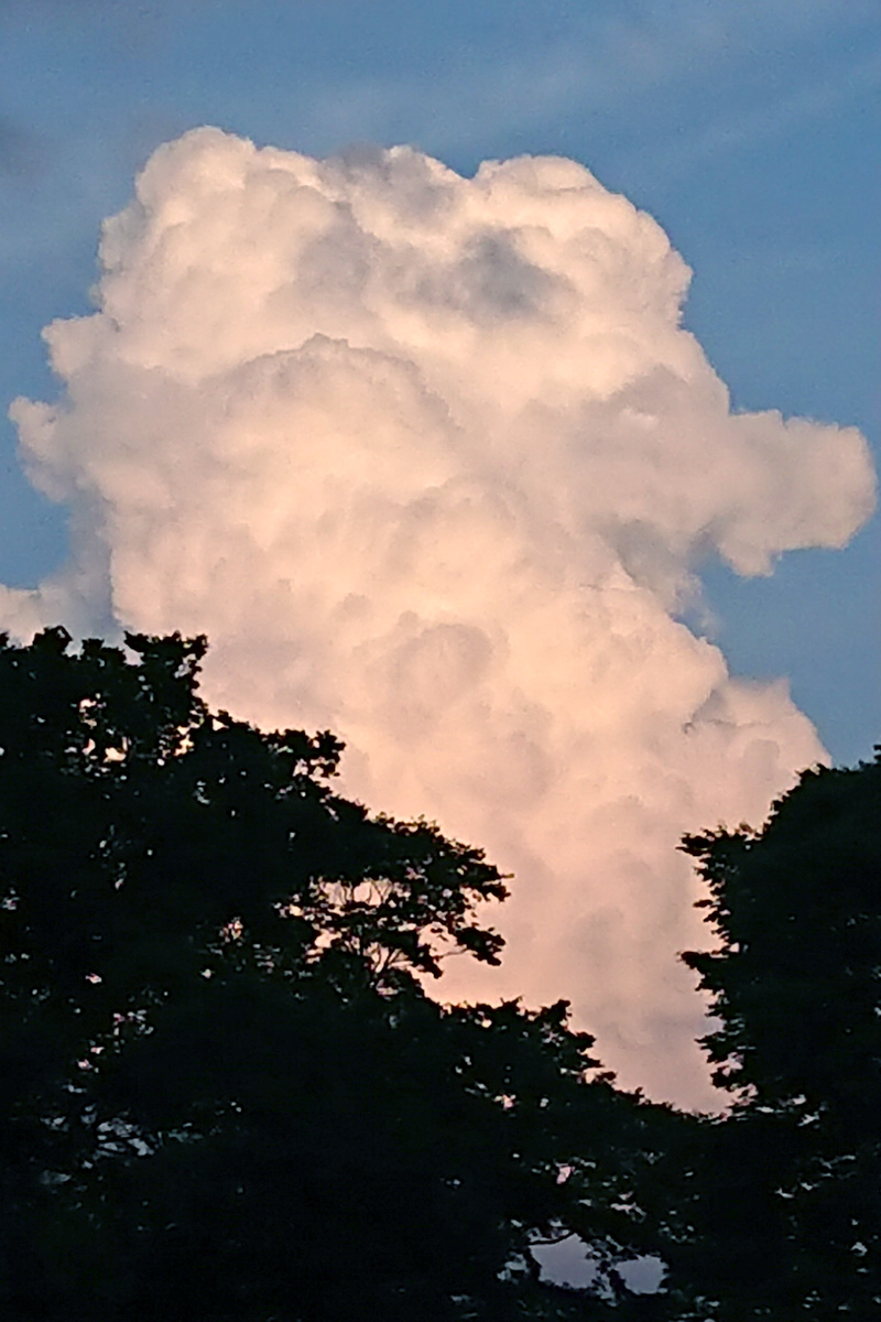 From Mr. H's home. He can often see clouds of various shapes.