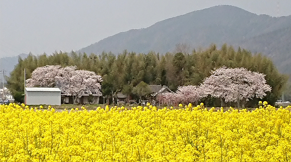 kameoka-city