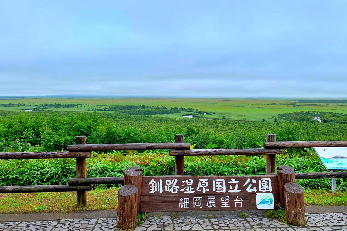 Visit Kushiro Marsh, the largest marshland in Japan.
