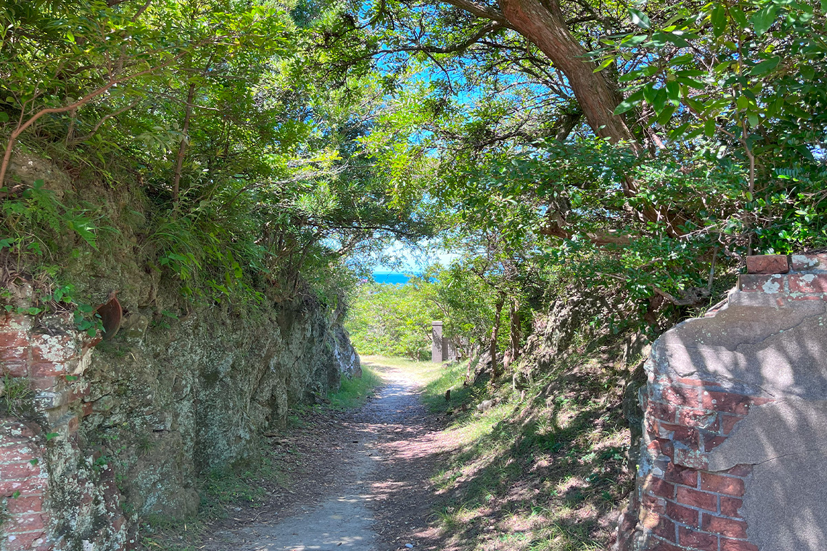 Tomogashima Island, once inaccessible to the general public, is a tourist attraction where the ruins of military gun emplacements have been preserved as they were.