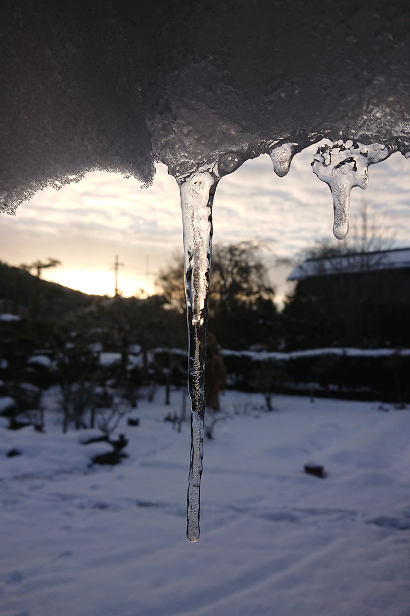 Sometimes icicles form. When illuminated by the sun, they are quite beautiful.