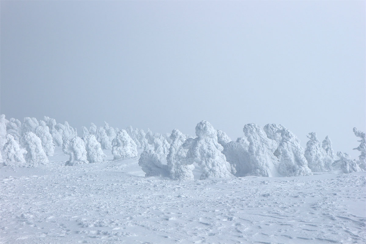 Hakkoda, at an elevation of 1,585 meters above sea level, offers the spectacle of tree ice from early February to mid-March each year.