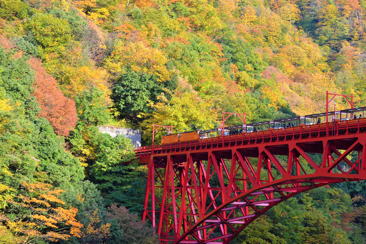 I have been on one once and it was great. In spring and summer, you can enjoy the lush fresh greenery, and in fall, you can take your time and enjoy the view of the fiery red leaves.