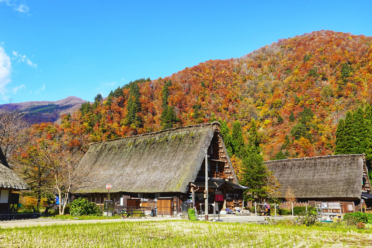 Suganuma Gassho-Zukuri