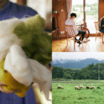 A trip where you can also stay at a guest house! - Sheep Farm Tour and Yarn Spinning Experience in Iwate, Japan