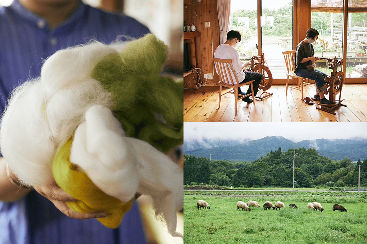 A trip where you can also stay at a guest house! - Sheep Farm Tour and Yarn Spinning Experience in Iwate, Japan