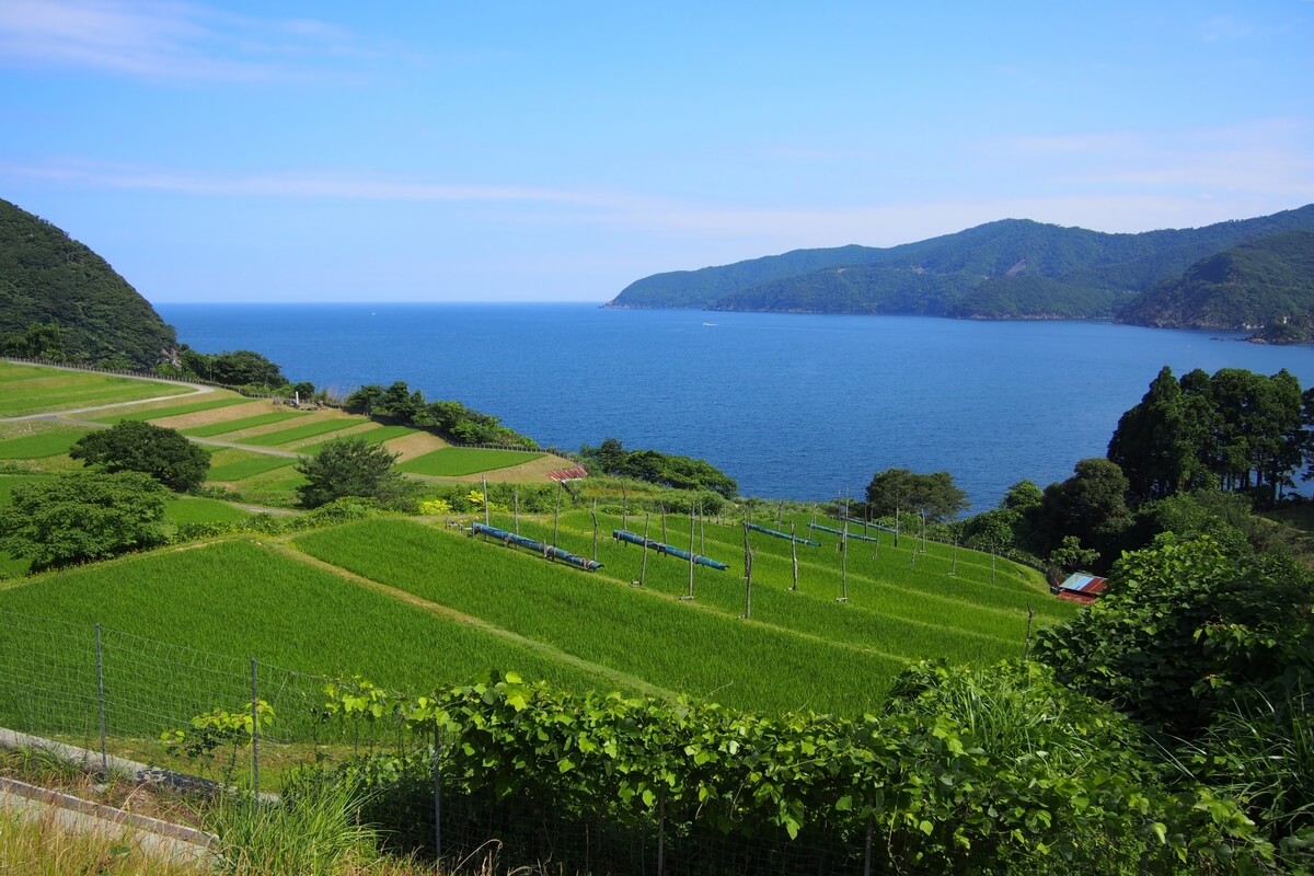 Fukui Prefecture facing the Sea of Japan