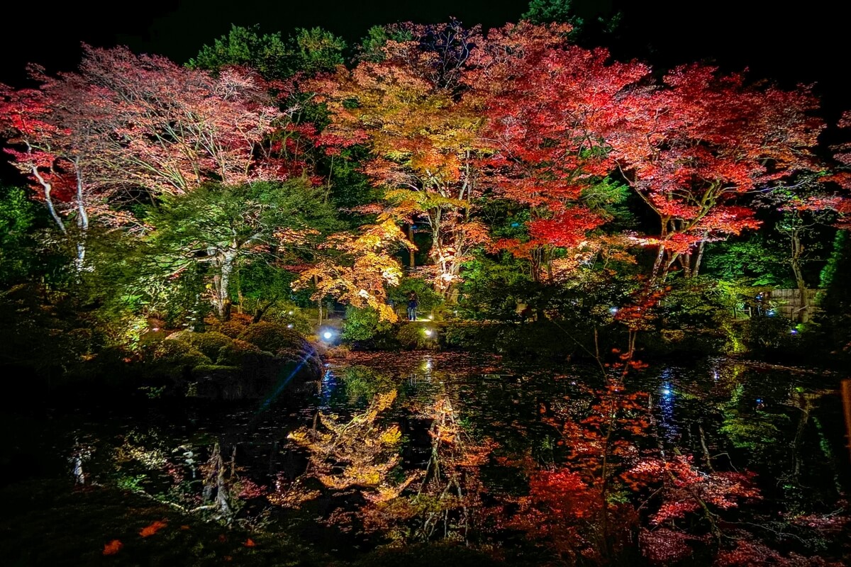 Light up Rinnoji Temple