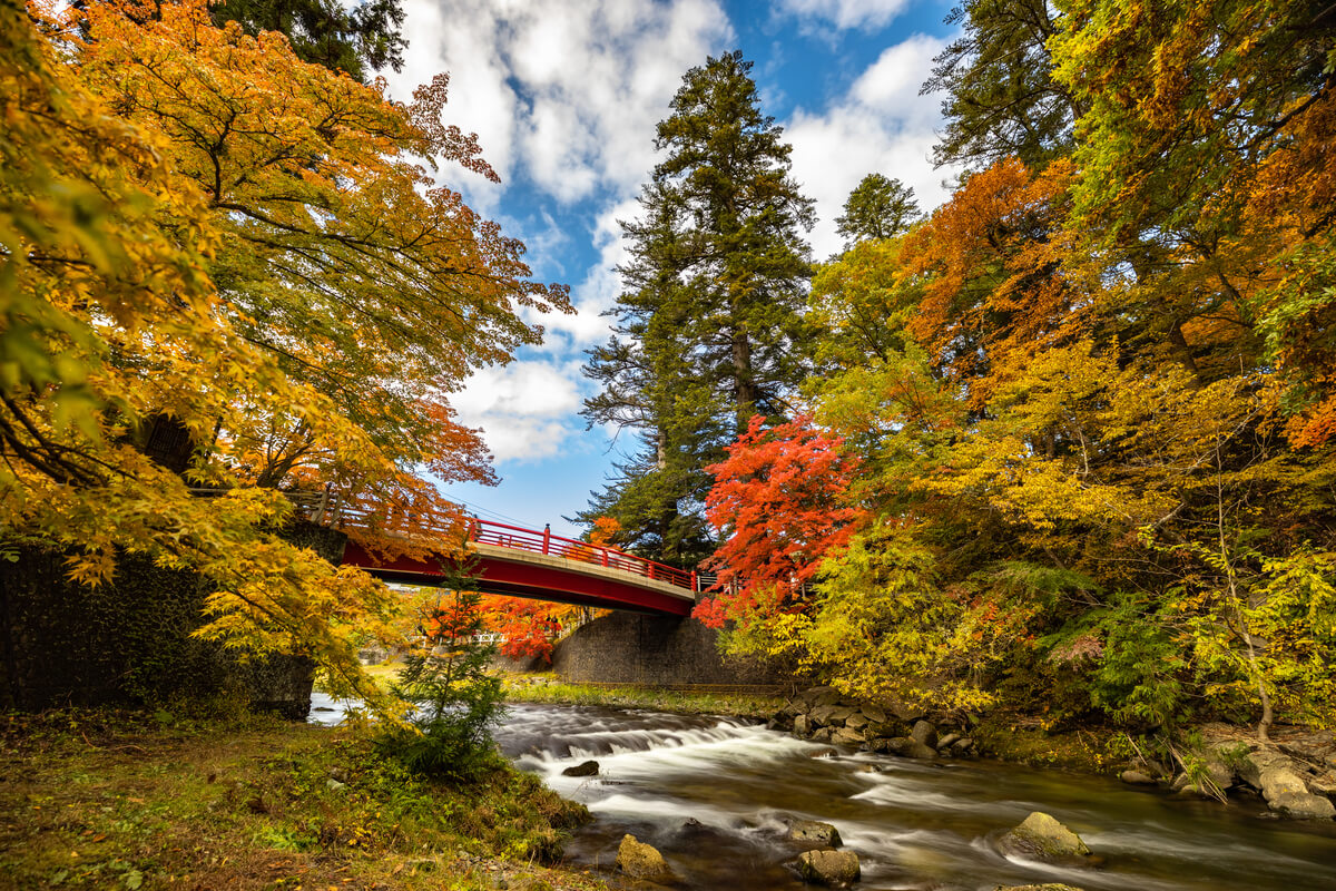 Nakano Momijiyama, one of Aomori's most famous autumn foliage spots