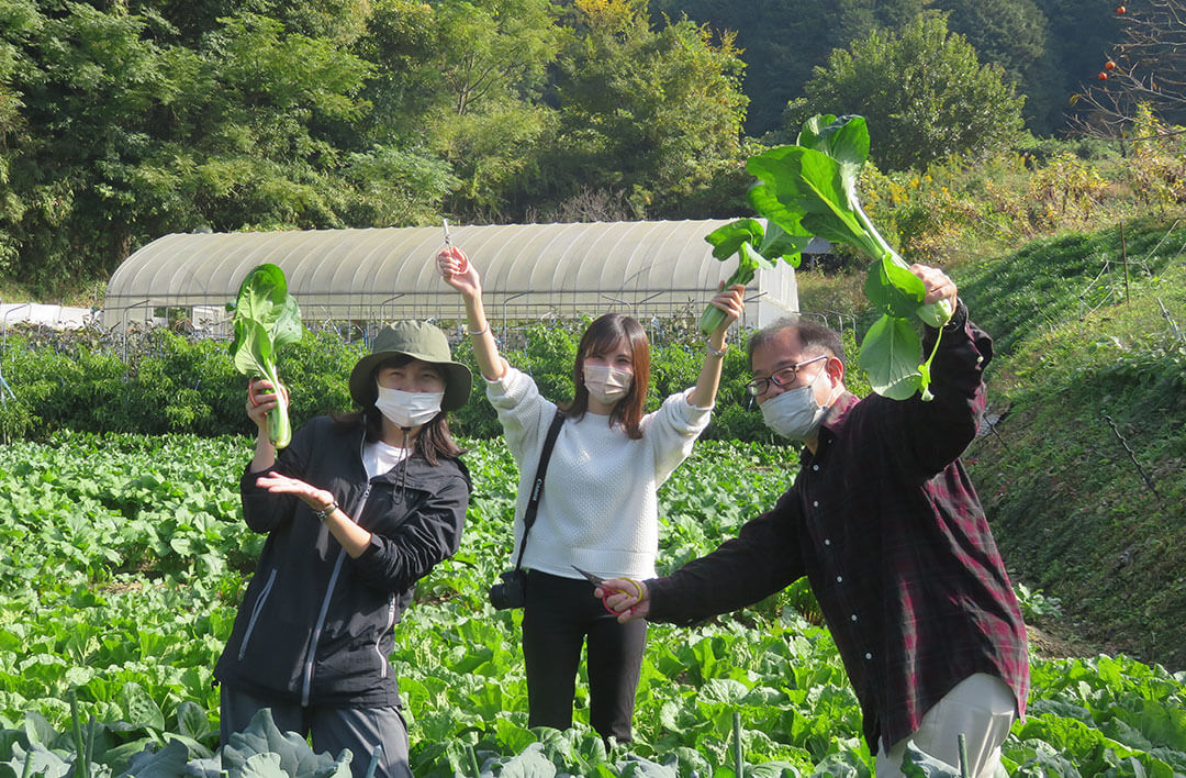 Otsukai! Asuka Food Hunting Cycling Tour