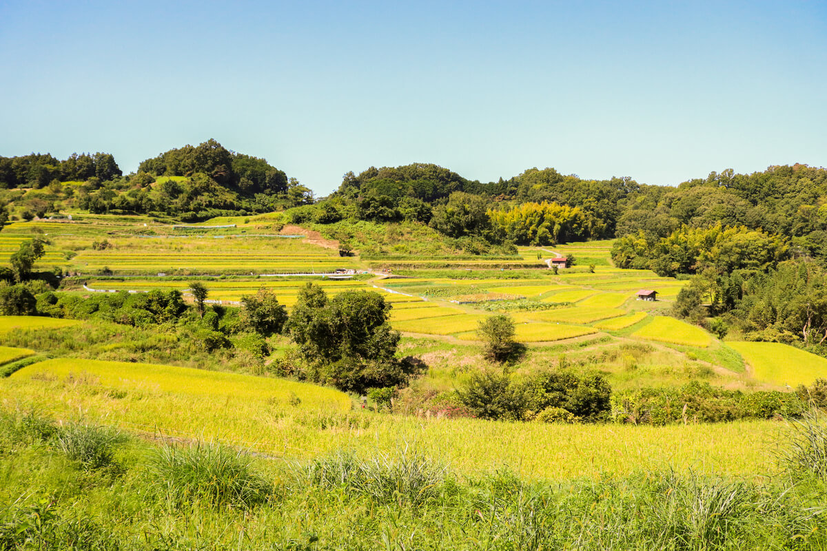 What is Asuka Village in Nara Prefecture?