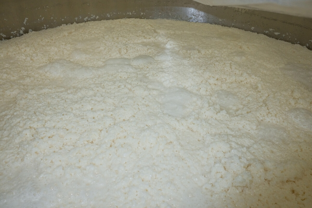 The process of fermentation of Moromi in “traditional sake brewing”