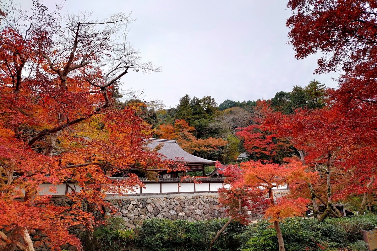 Nara, the birthplace of sake