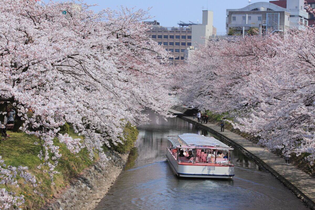 Matsukawa River Cruises with a beautiful tunnel of cherry blossoms