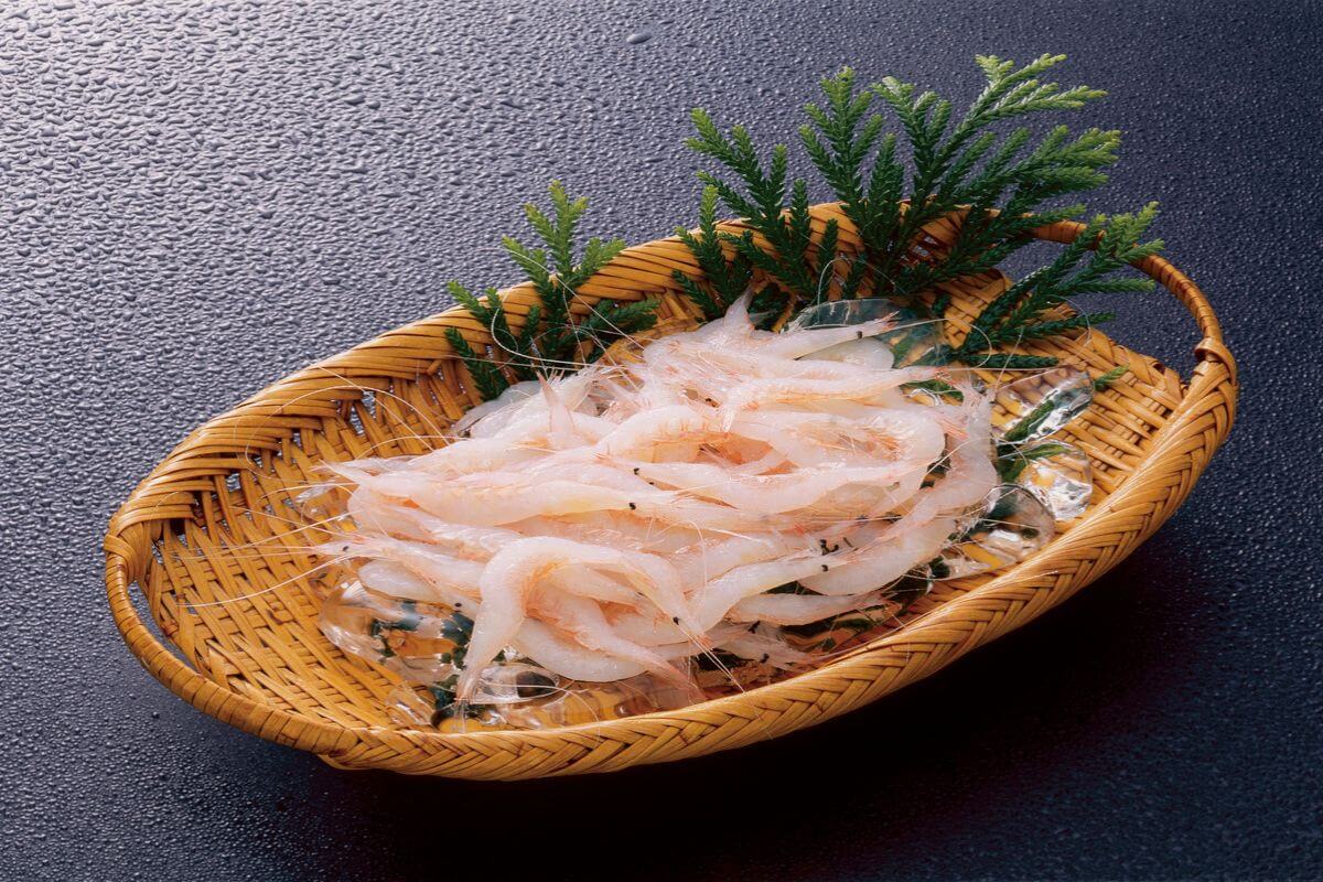 Phantom “white shrimp” that can only be caught in Toyama