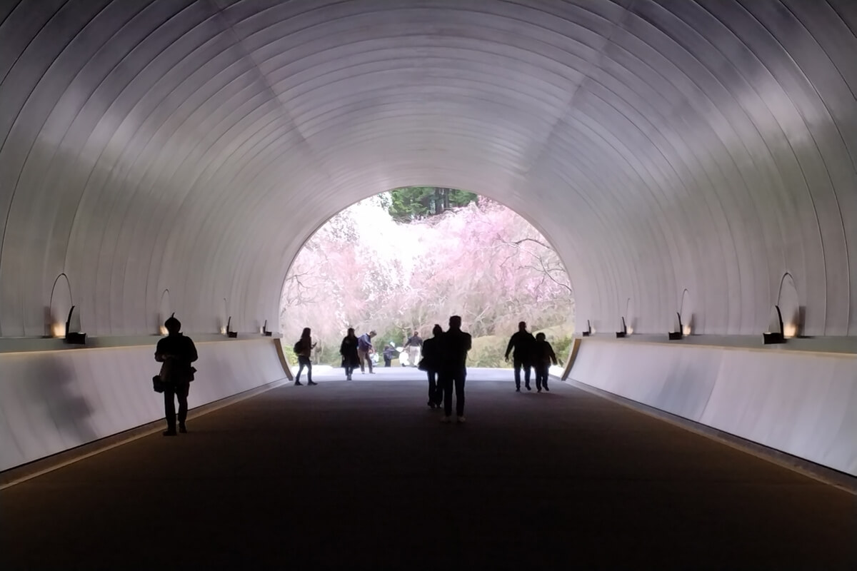 Miho Museum