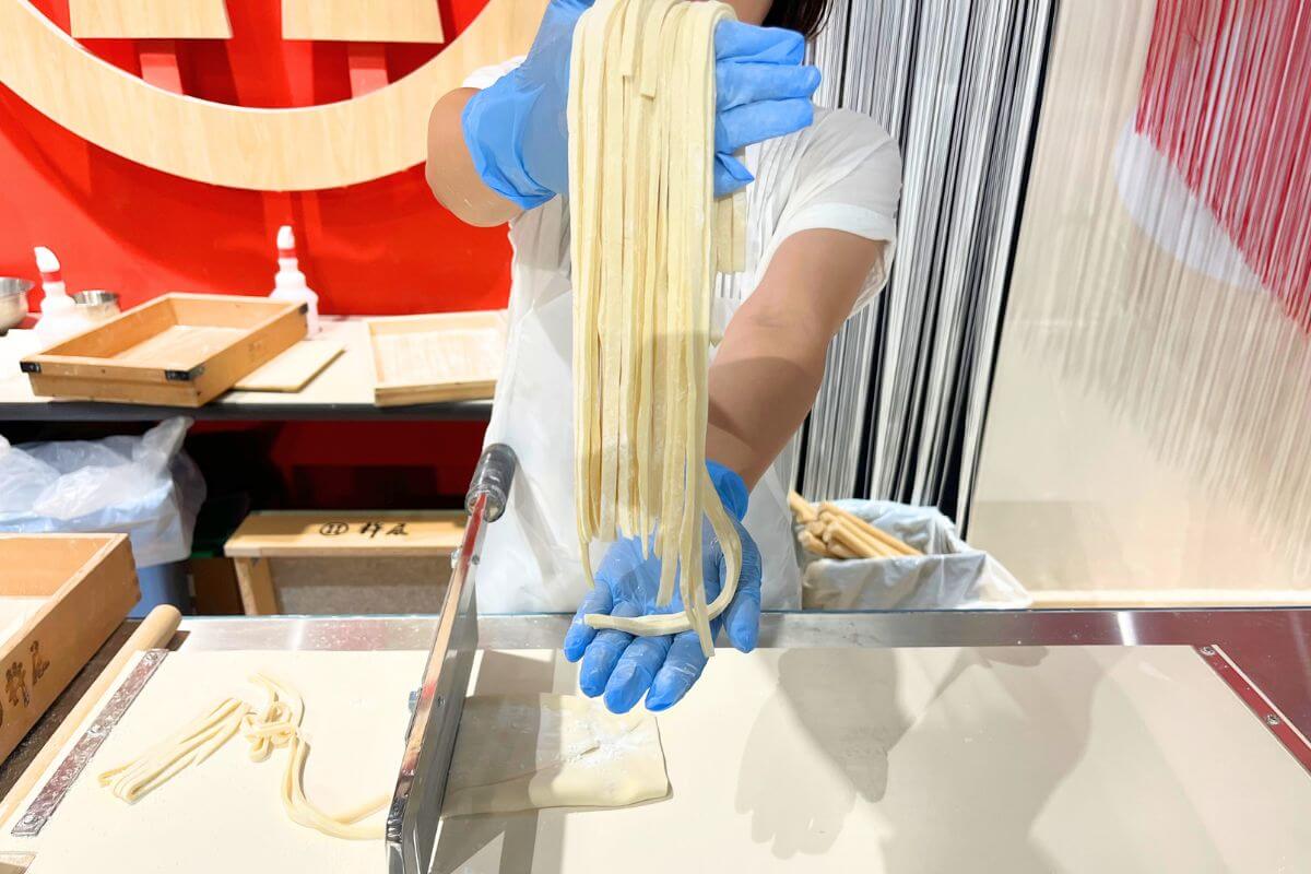 cut udon noodles