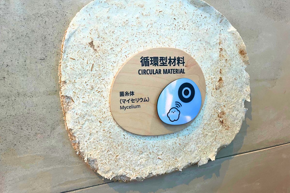 Mushrooms used in Circular materials, mycelium