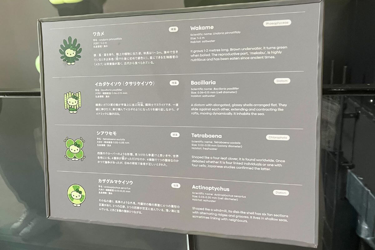 Introduction to Algae