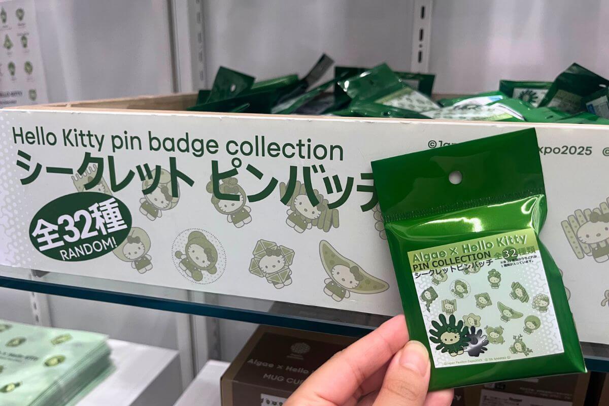 Hello Kitty 32 types of secret pin badges